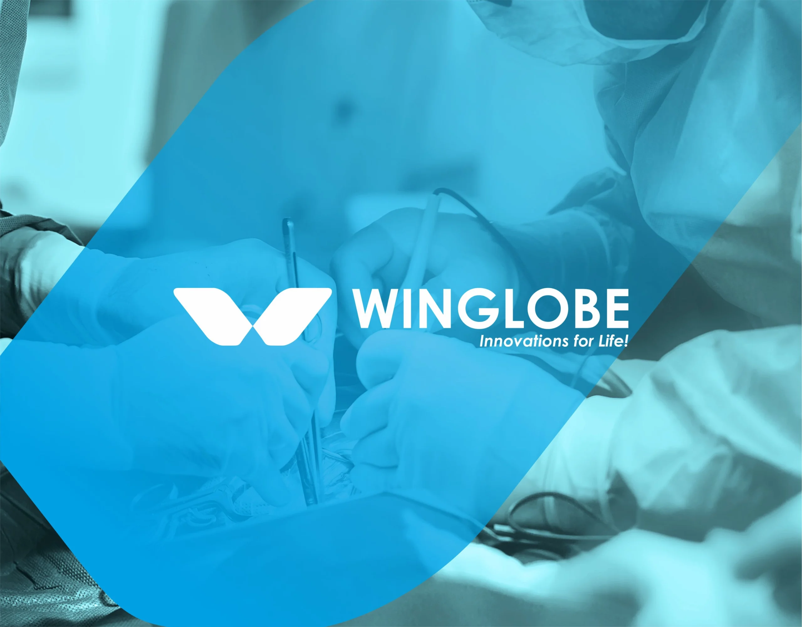brand identity services logo design