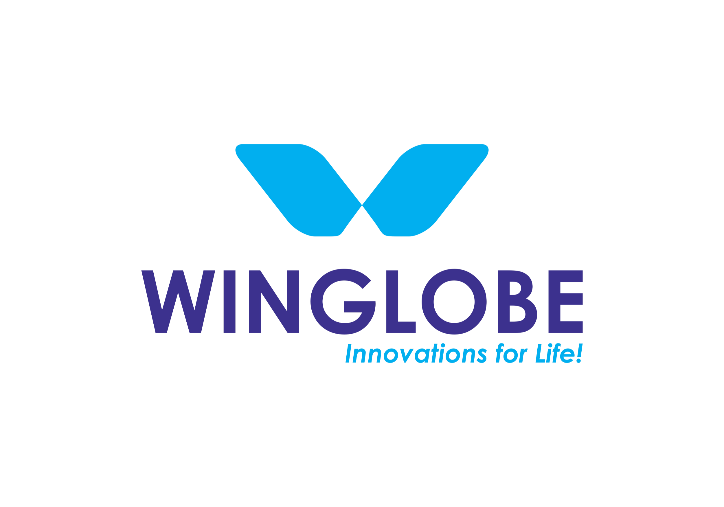 Winglobe Web (4)